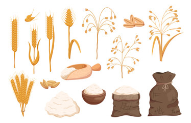 Set of Cereals, Oat and Wheat Seeds and Spikes, Flour in Sack, Bowl and Pile, Gluten Products, Raw Farmer Grains