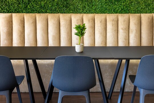 Beautiful shot of table with chairs against green decorative wall in interior of restaurant or cafe