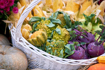 Harvest festival with autumn pumpkins and vegetables. Sale of agricultural crops on the outdoor market after the holiday