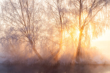 Fototapeta na wymiar Winter morning sunlight