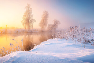 Sun rays shine in fog