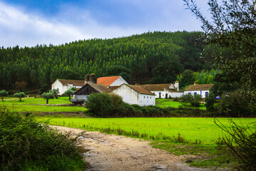 Farm in the countryside of Ribatejo in the portuguese village of Chamusca - PortugalRibatejo - Portugal. Farm in the autumn skies and foliage 
