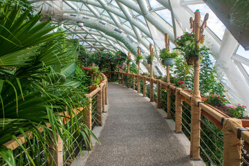 Konya - Turkey, November 19, 2022,  Konya Tropical Butterfly Garden, is the garden which has biggest butterfly flying field in Europe and first in Turkey.
