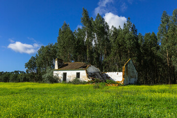 Abandoned house in the countryside of Ribatejo - Portugal. Abandoned house in the autumn landscape