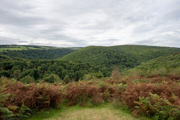 Fototapeta na wymiar View from Dunkery Hill of Horner woods in Somerset