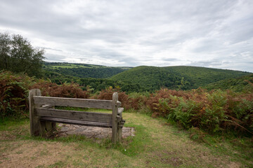 View from Webbers Post of Horner woods in Somerset