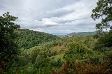 Fototapeta na wymiar Landscape photo of Horner woods in Somerset
