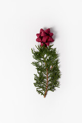 Christmas tree made of an evergreen tree branch and a red bow on white background. New Year minimal concept.