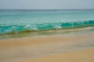 Tropical sandy beach with clear water as a backdrop.