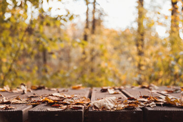 Empty wooden surface and beautiful autumn leaves on blurred background, space for text