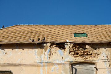 Pigeons bask in the sun on the roof of an old house.