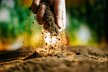 Black soil in man hands Organic gardening, agriculture. Nature close up. 