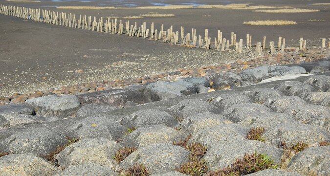 Coastal protection and fascine in the sand 