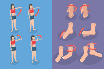 3D Isometric Flat Vector Conceptual Illustration of Muscular Motion, Abduction and Adduction Movements