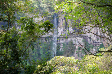 View of Terceira Légua Waterfall and trees in Caxias do Sul countryside, Rio Grande do Sul, Brazil