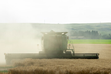 Fototapeta na wymiar Wheat Harvest, combine harvester working on a wheat field under clear sky near Sidney, MT USA.