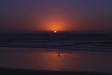 Beautiful sunset on the beach. Abstract seascape, sun setting down the horison, dark pink sky, and quiet sea