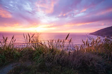 Acrylic prints Aubergine A beautiful pink sunset on the Big Sur coastline of California Central Coast. Colorful cloudy sky, quiet Pacific ocean, and native California's plants on the beach