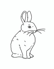 bunny rabbit mono line artwork coloring page