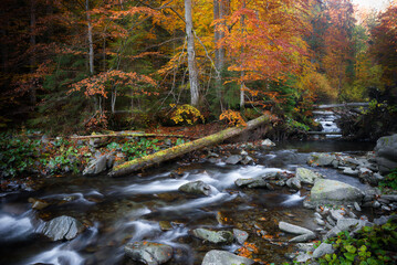 Autumn creek