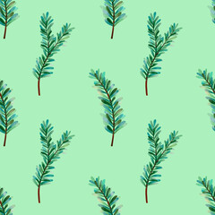 Seamless background with watercolor fir twigs doodles, mint green background. Luxury pattern for creating textiles, wallpaper, paper. Vintage. Christmas and winter floral Illustration