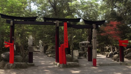 Fototapeta na wymiar Chinese arch in the park.
