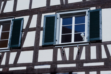 Human medical skeleton on the window of a half-timbered house