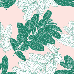 Seamless pattern green guava leaves on pink pastel background.Vector illustration hand drawn line art.For fabric fashion print design or product packaging.