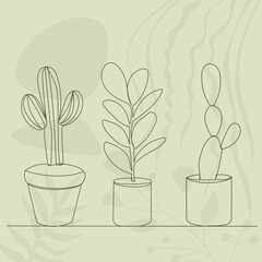 cacti in pots continuous line drawing, vector, sketch