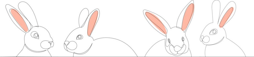 rabbits portrait continuous line drawing,vector, sketch