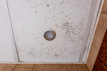 Mold formed on the ceiling around the lighting in the bathroom due to high humidity