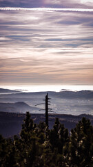 Mgliste pagórki w dolinie © Wiktor