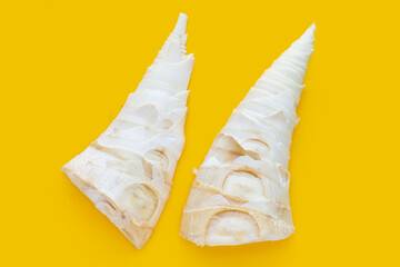 Bamboo shoots on yellow background.