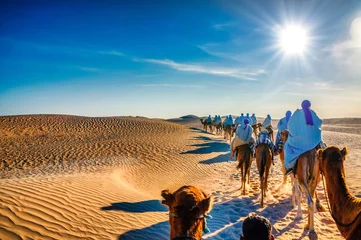 Selbstklebende Fototapeten Camels caravan going in sahara desert, Tunisia, Africa © Eagle2308