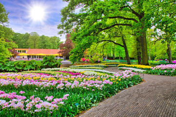 Plakat Alley among colorful tulips, Keukenhof Park, Lisse in Holland