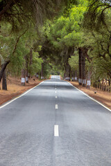 Portuguese National Road 2, which passes through the cork oaks, Alentejo