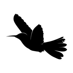 Silhouette of a hummingbird