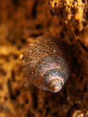 Taylor's Mistake 2022