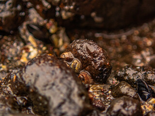 Taylor's Mistake 2022