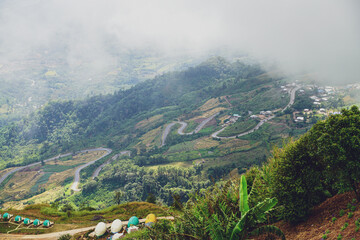 Fototapeta premium High view from Phu Thap Boek Mountain Phetchabun Province, Thailand. Cold weather, high mountains and thick fog.