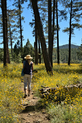 Lady wearing a straw hat on hiking trail surrounded by Yellow wild mountain flowers