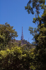 torre entre &aacute;rvores.
