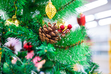 Christmas tree branch with ball and gift ornament on pine tree