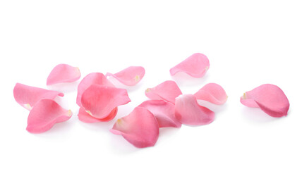 Beautiful pink rose flower petals on white background - Powered by Adobe