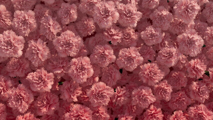 Beautiful Flowers Arranged Create Elegant