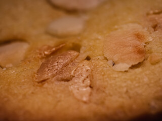 Close up of a cookie