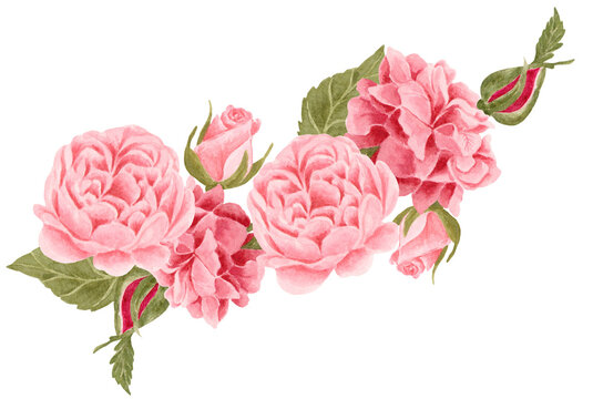 Watercolor pink and magenta rose, peony flower bouquet arrangement