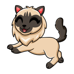 Cute balinese cat cartoon posing