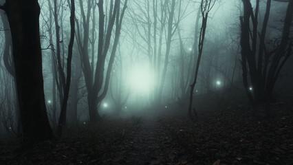 Magical, mysterious glowing orbs of light. Floating in a mystical spooky forest. On a foggy winters...