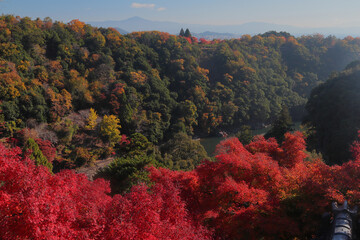 京都　秋の保津峡の風景